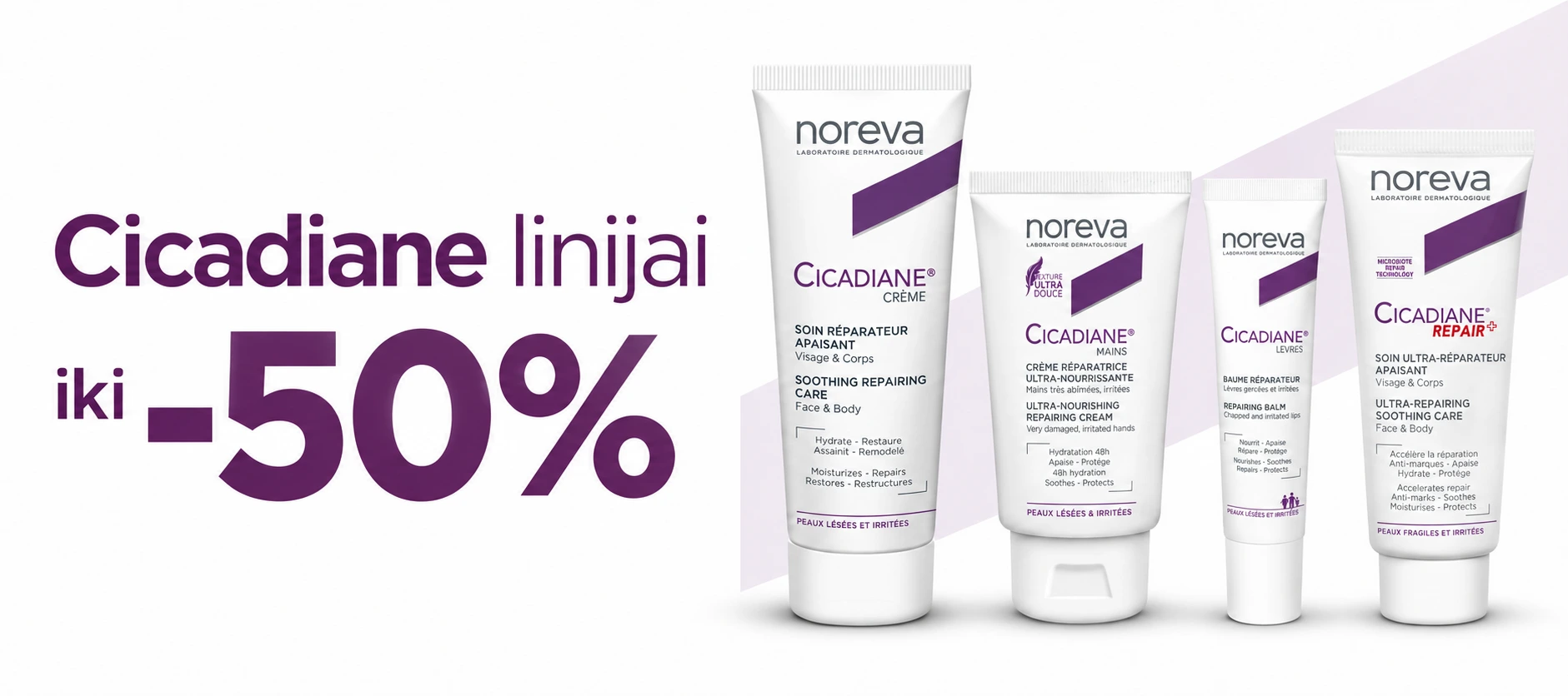 cicadiane
